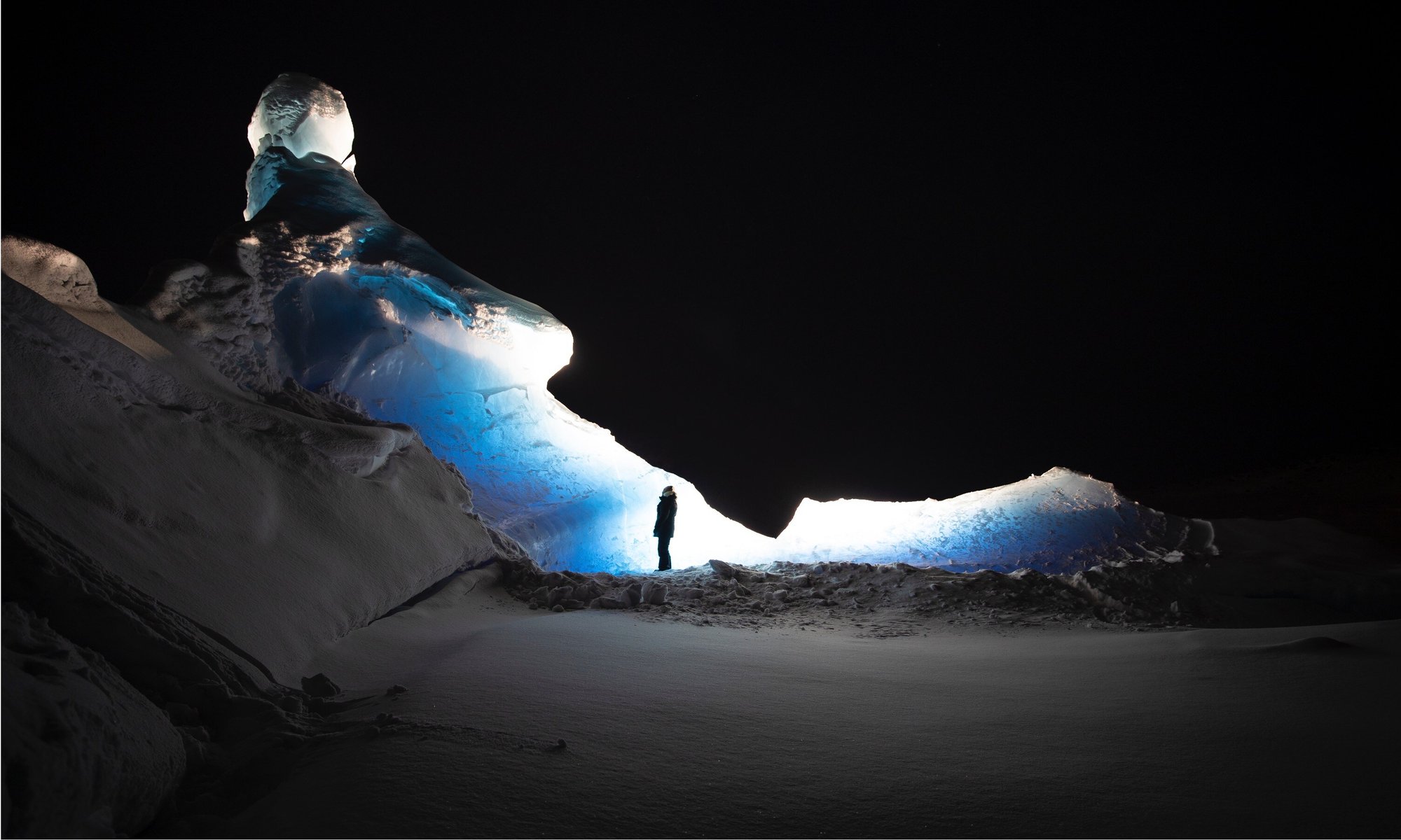 Printemps Ours polaires et icebergs 11